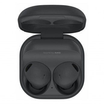 Вставные наушники SAMSUNG Galaxy Buds2 Pro Graphite SM-R510NZAACIS