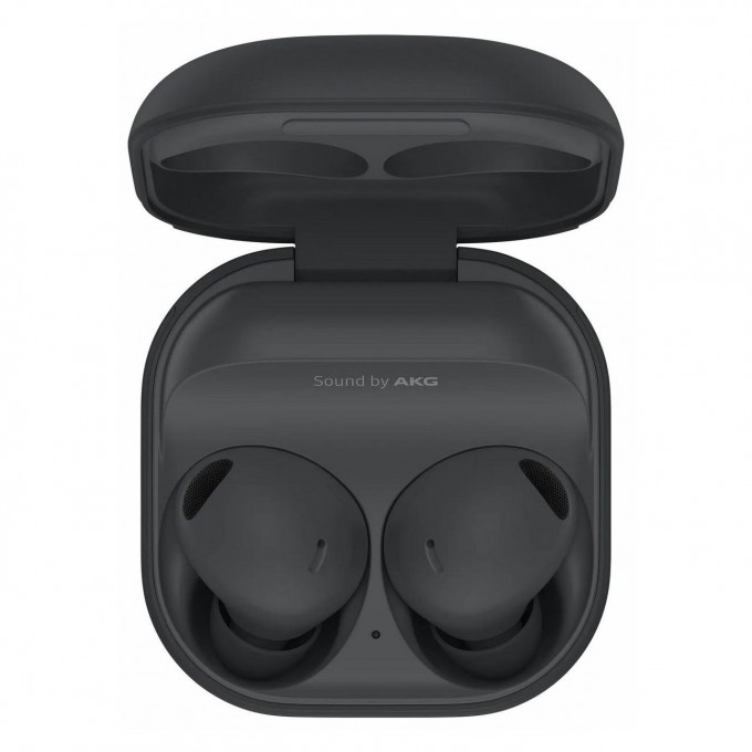 Вставные наушники SAMSUNG Galaxy Buds2 Pro Graphite SM-R510NZAACIS 100063802094